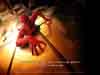 Wallpaper na de� 05-05-2026