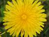 Wallpaper na de� 07-05-2026