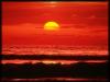 Wallpaper na de� 08-07-2026