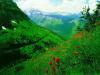 Wallpaper na de 19-07-2025